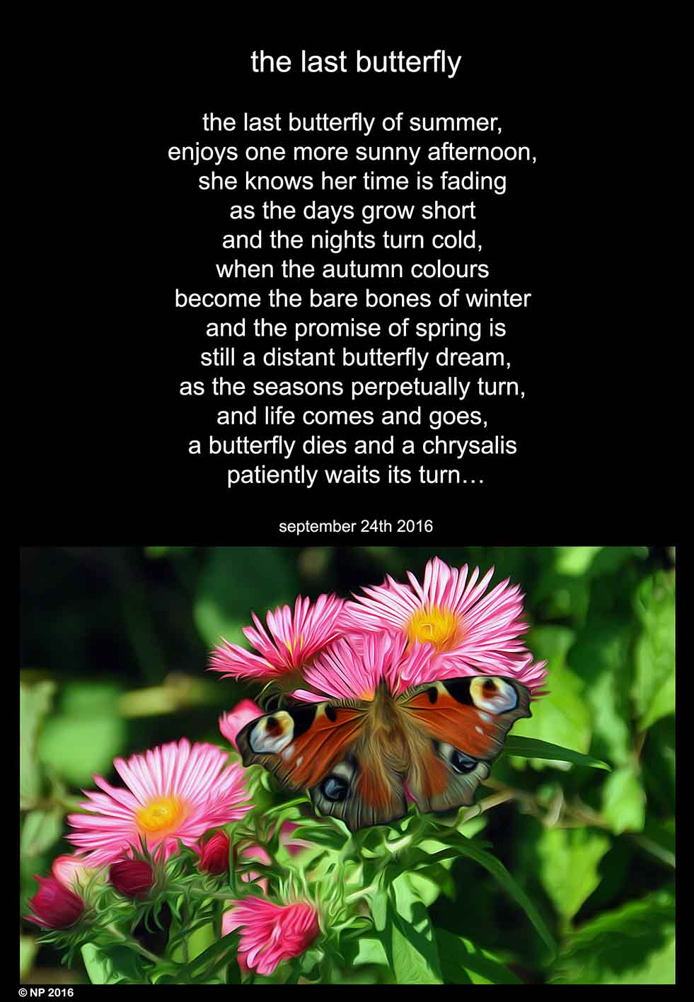000-the-last-butterfly